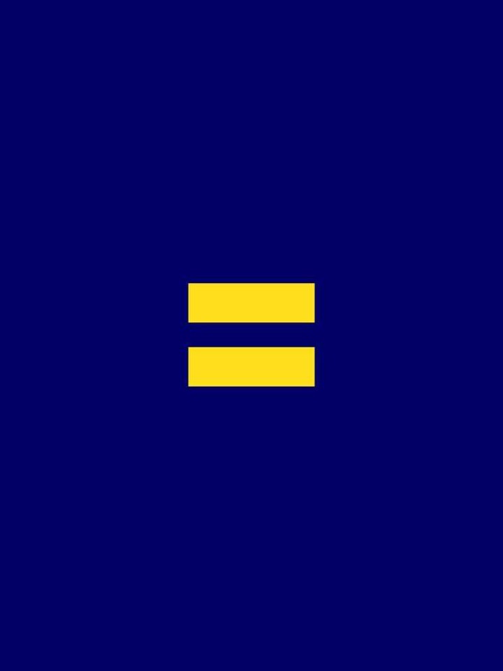 HRC Corporate Equality Index